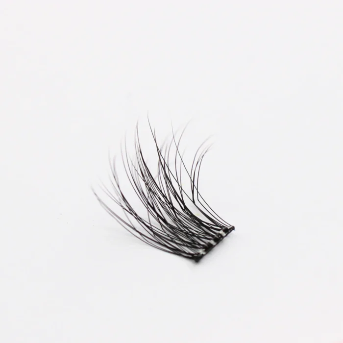 Everyday - Image 5